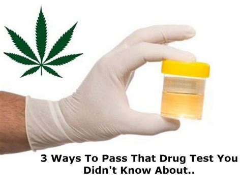 best way to beat a drug test